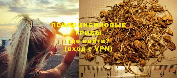 a pvp Алзамай
