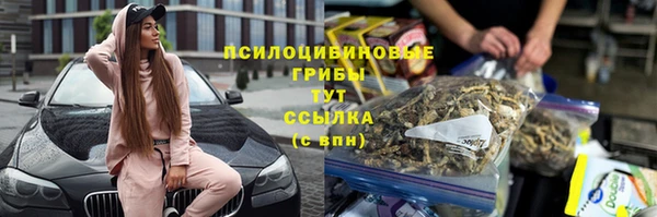 a pvp Алзамай