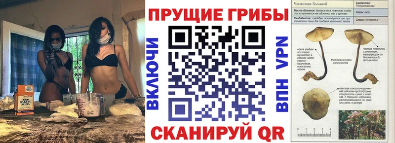 Галлюциногенные грибы мухоморы Волжский